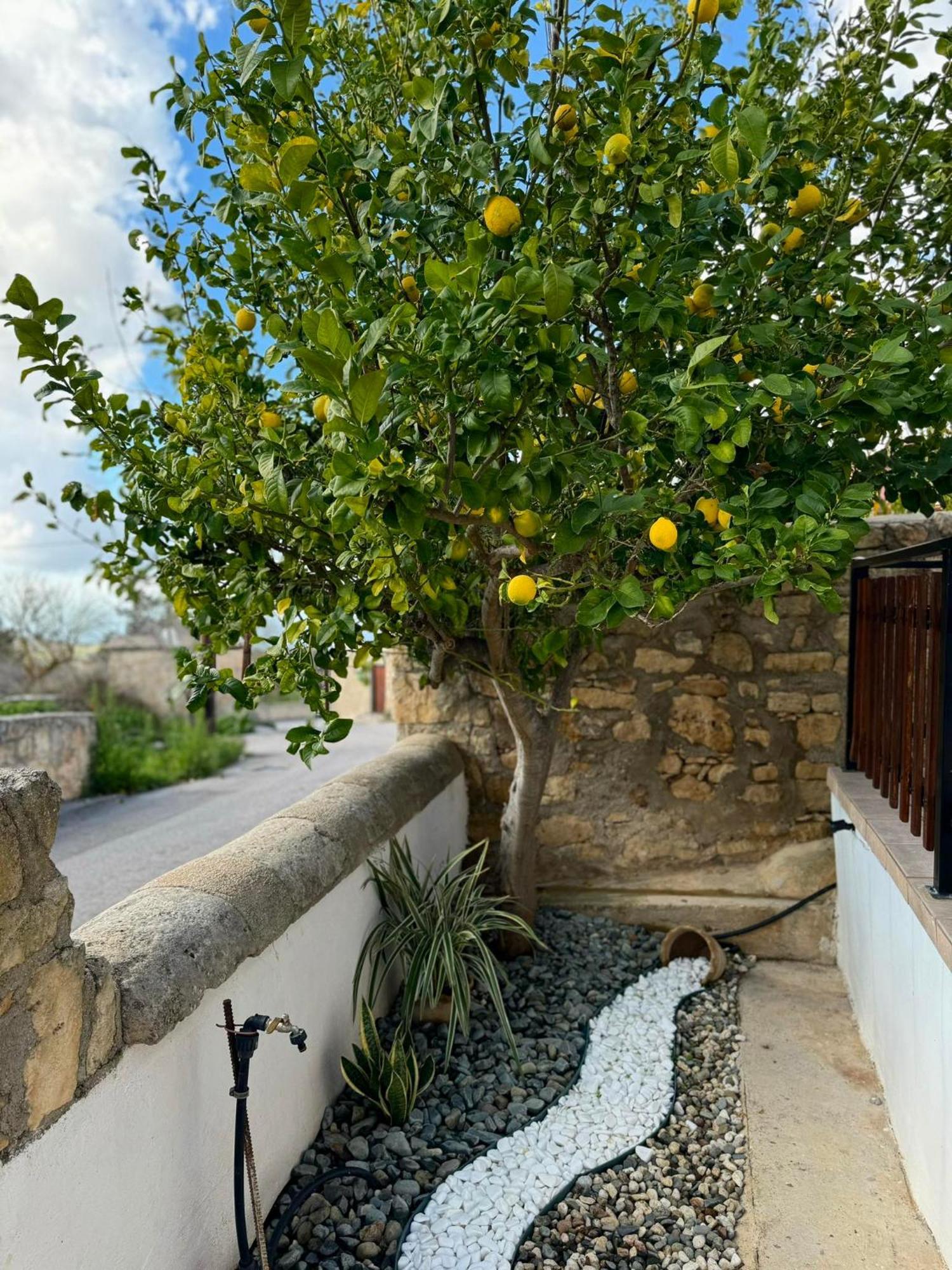 Willa Mariarodes House Pano Arodes Zewnętrze zdjęcie